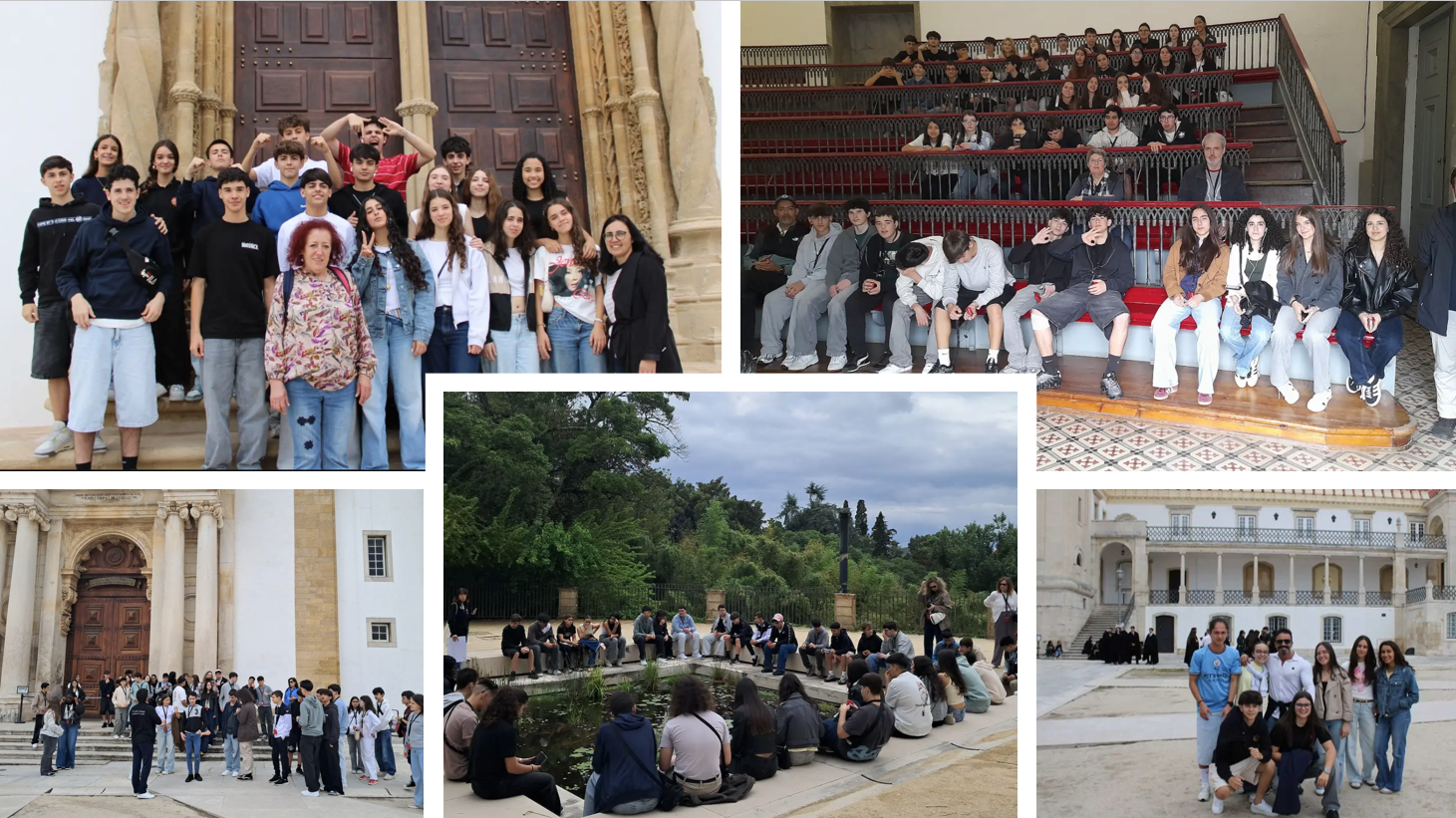 9anopatrimonio