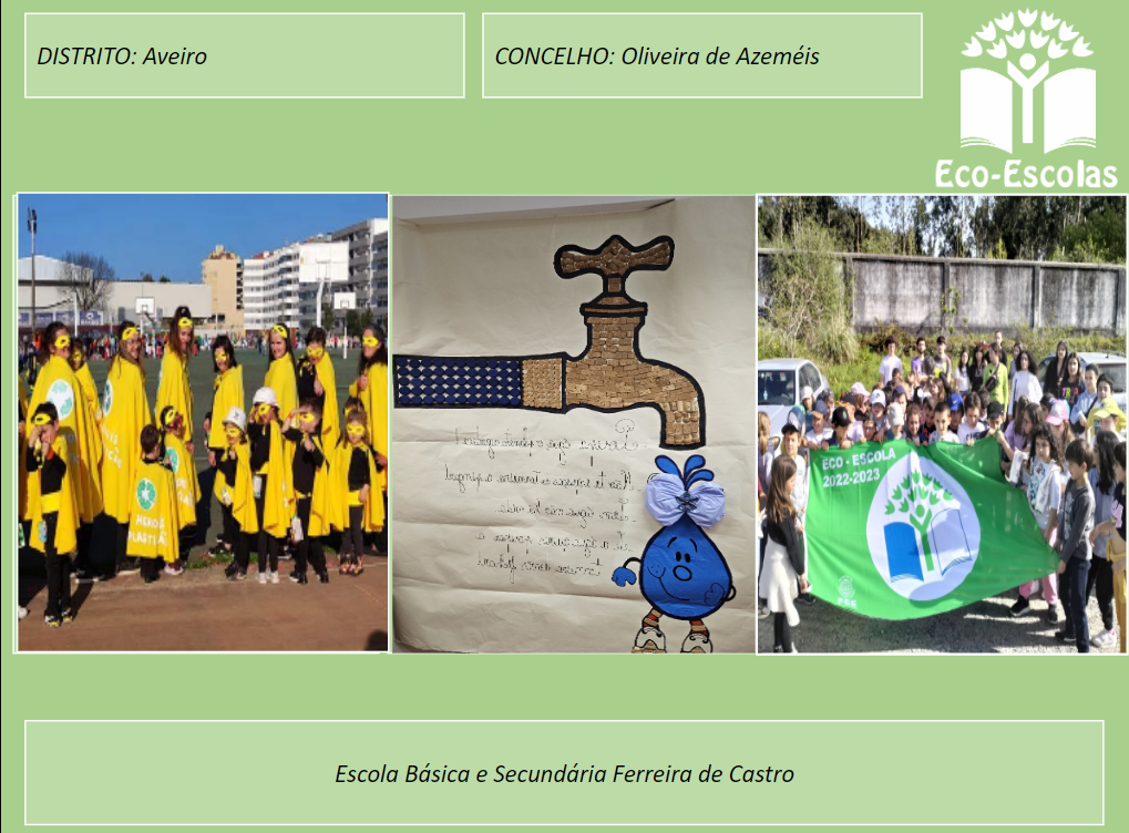 IMGecoescolas
