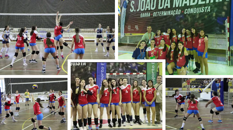 volei