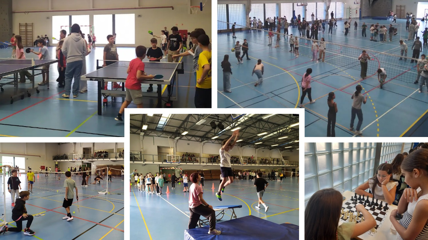 diaeuropeudesporto