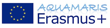 erasmus